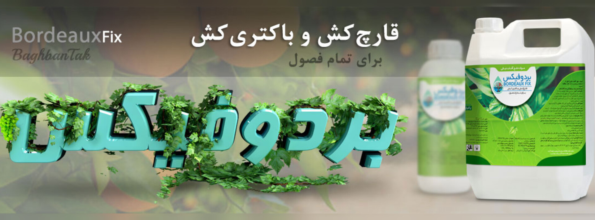 بردوفیکس باغبان تاک